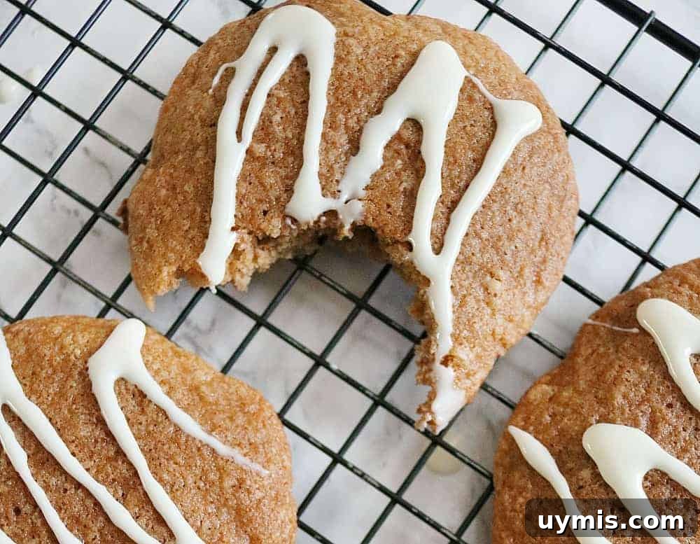 Soft Applesauce Cookies with Cinnamon 2 applesauce cookies