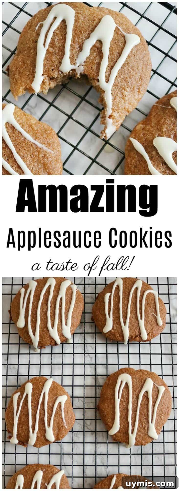 Soft Applesauce Cookies with Cinnamon 7 applesauce cookies