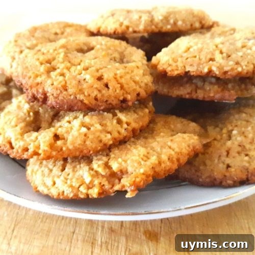 Gluten Free Keto Butterscotch Cookies