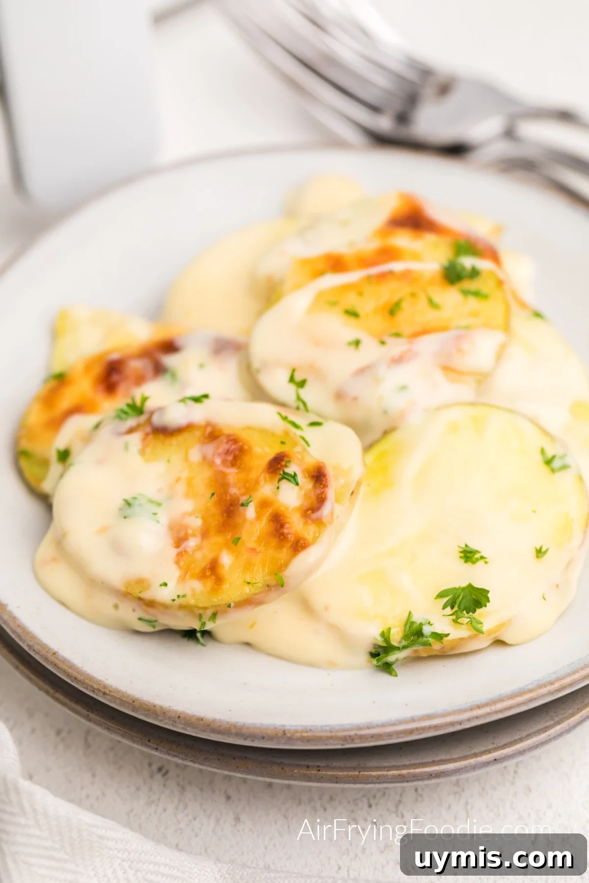 Air Fryer Scalloped Potatoes with Melted Cheese 2 Air fried scalloped potatoes served on a plate and topped with fresh parsley.