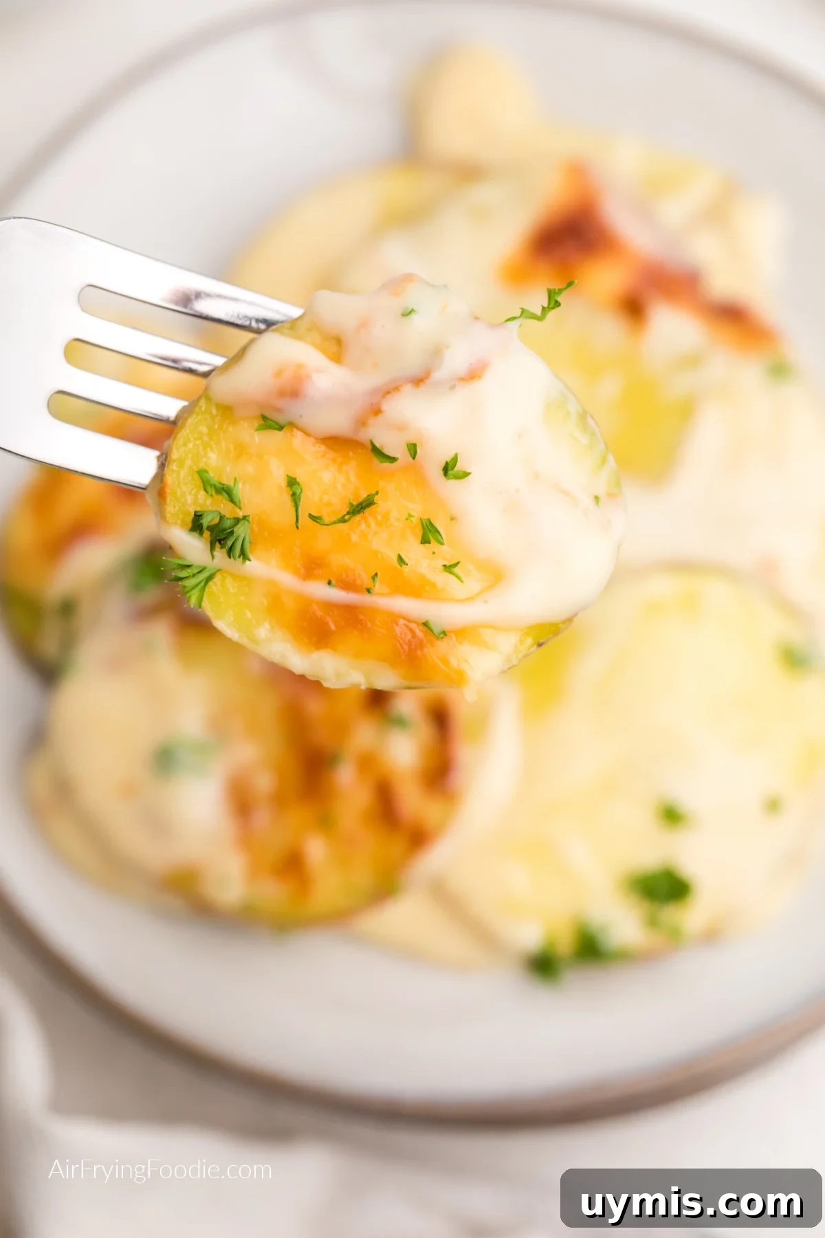 Air Fryer Scalloped Potatoes with Melted Cheese 12 Fork with a bite of air fryer scalloped potatoes topped with fresh parsley.