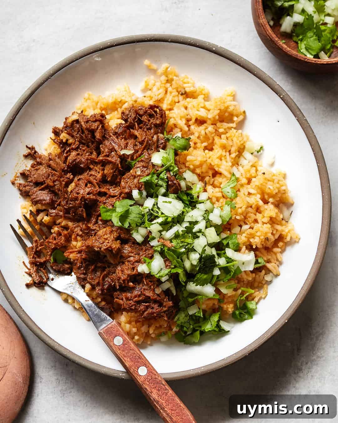 Whole30 Beef Barbacoa (Paleo Recipe) 2 Whole30 Beef Barbacoa Paleo Primal Gourmet Easy Mexican Quarantine Recipe