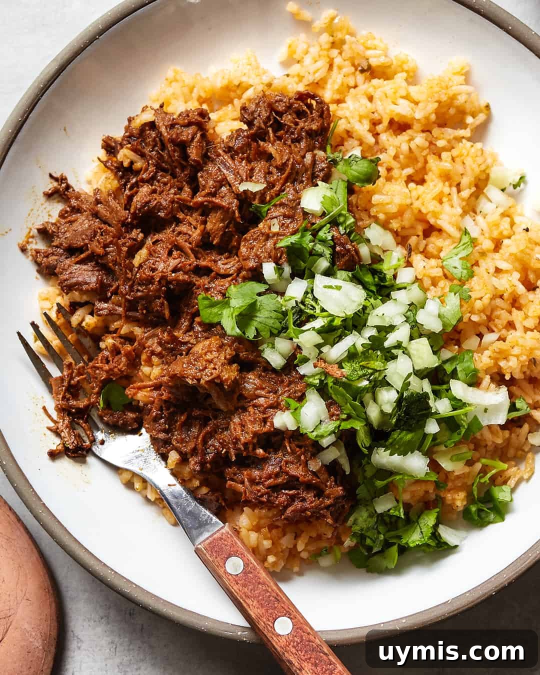 Whole30 Beef Barbacoa (Paleo Recipe) 3 Whole30 Beef Barbacoa Paleo Primal Gourmet Easy Mexican Quarantine Recipe