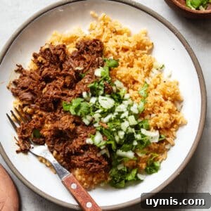 Whole30 Beef Barbacoa (Paleo Recipe) 5 Whole30 Beef Barbacoa Paleo Primal Gourmet Easy Mexican Quarantine Recipe