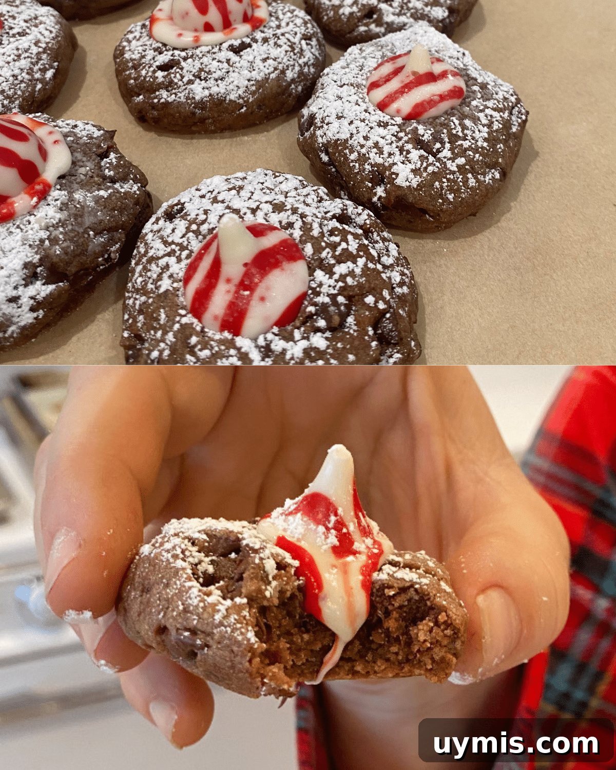 Soft Sugar Cookies Recipe That Stays Tender 7 Chocolate sugar cookie variation