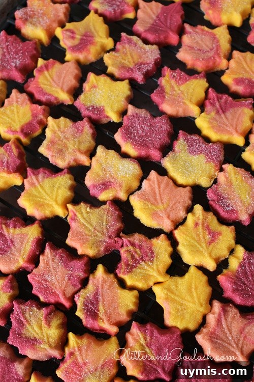 How to Make Cream Cheese Leaf Mints 11 img 1845 10