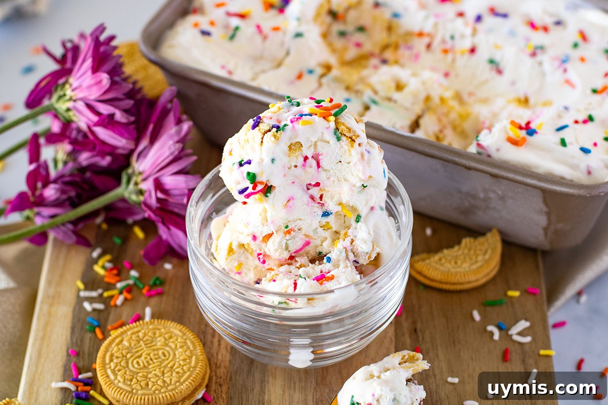 No-Churn Funfetti Golden Oreo Ice Cream Recipe 10 Golden Oreo vanilla ice cream in glass dessert bowl with sprinkles on top.