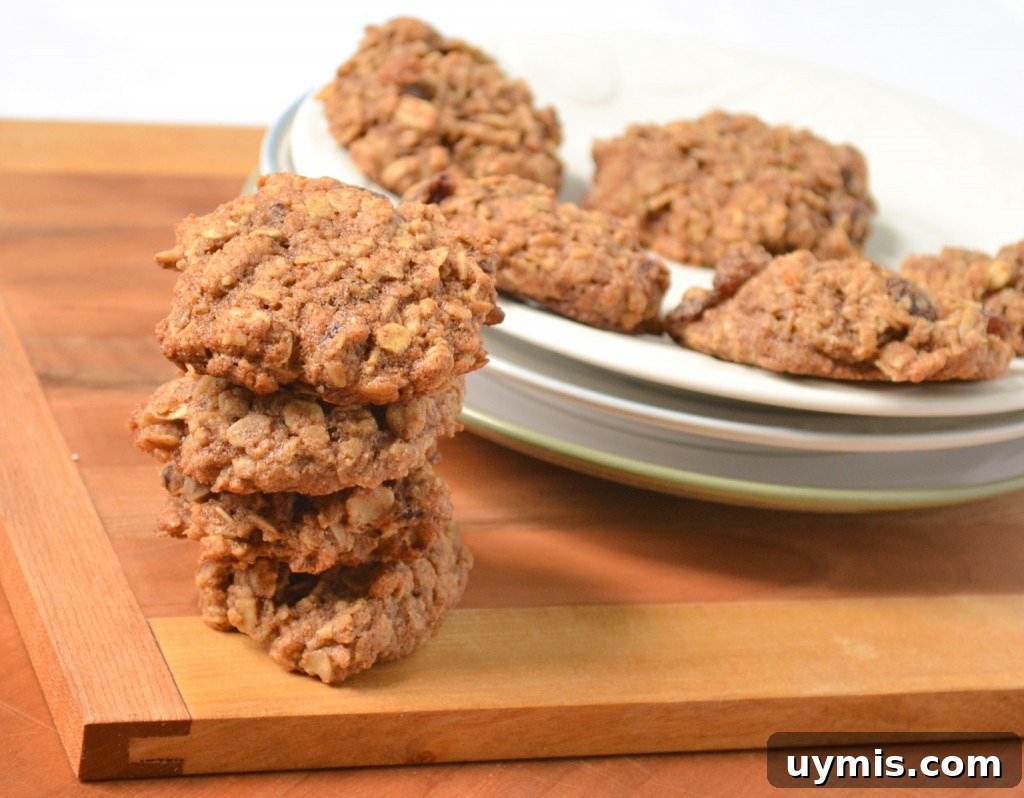 Homemade Spelt Oatmeal Raisin Cookies Homemade spelt oatmeal raisin cookies cooling