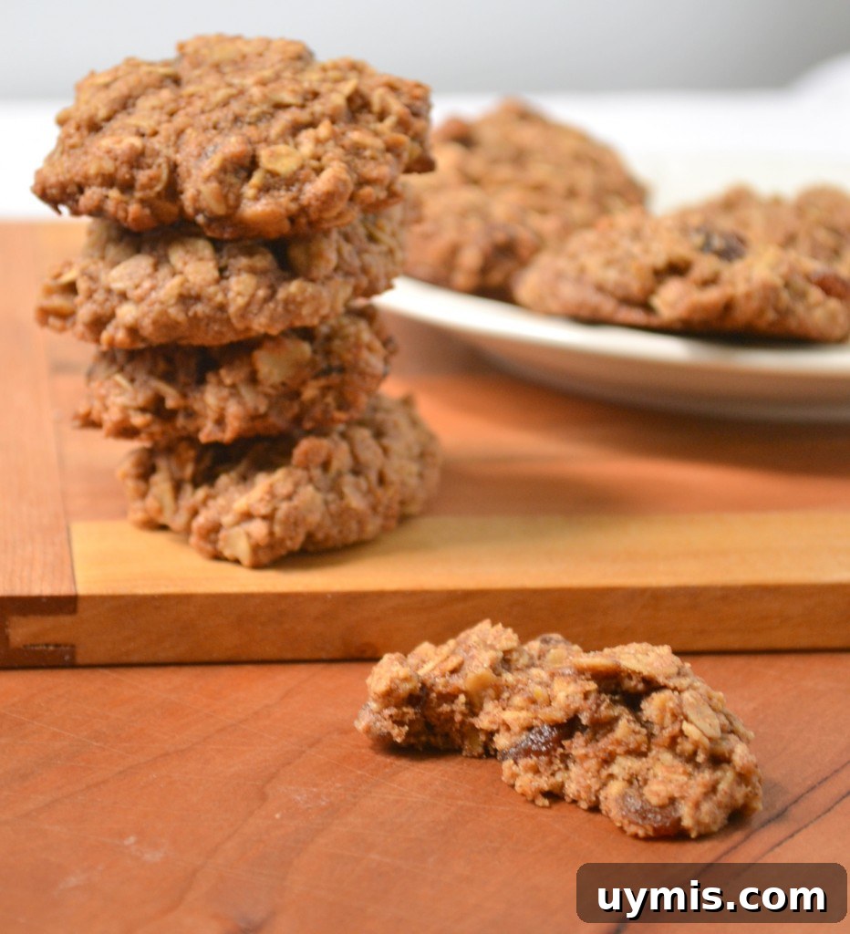 Stack of Spelt Oatmeal Raisin Cookies Stack of spelt oatmeal raisin cookies