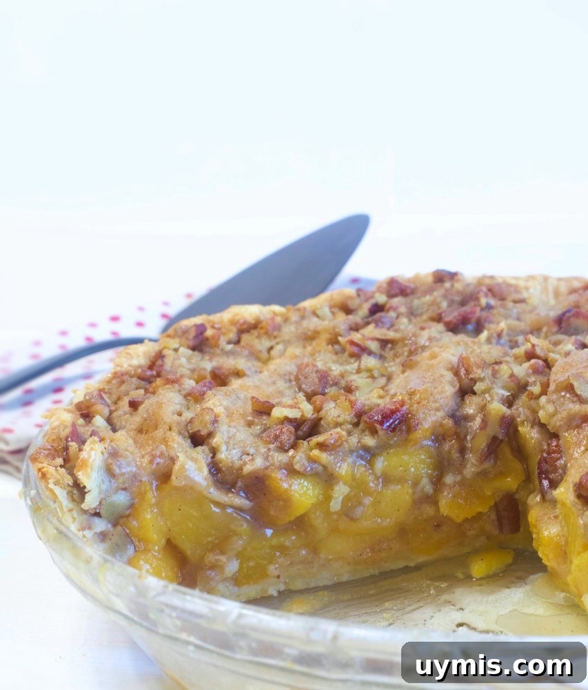 Brown Sugar Peach Crumble Pie Recipe 4 Slice of Brown Sugar Peach Crumble Pie.