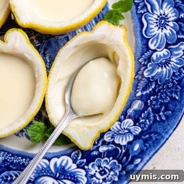 3-Ingredient Lemon Posset Recipe: Creamy No-Bake Dessert 8 img 19711 11