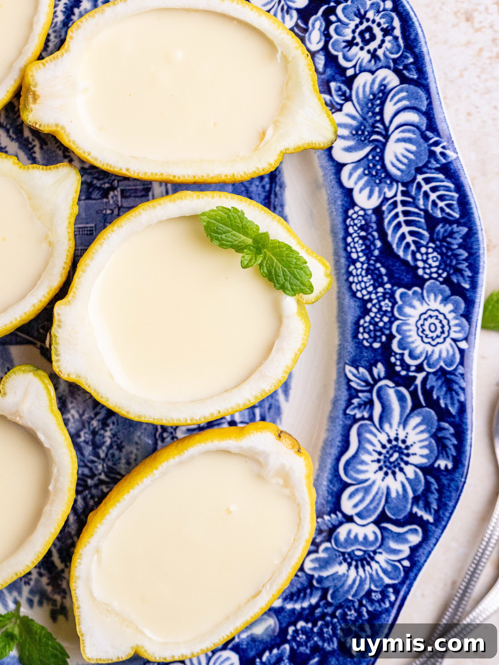 3-Ingredient Lemon Posset Recipe: Creamy No-Bake Dessert 3 img 19711 2