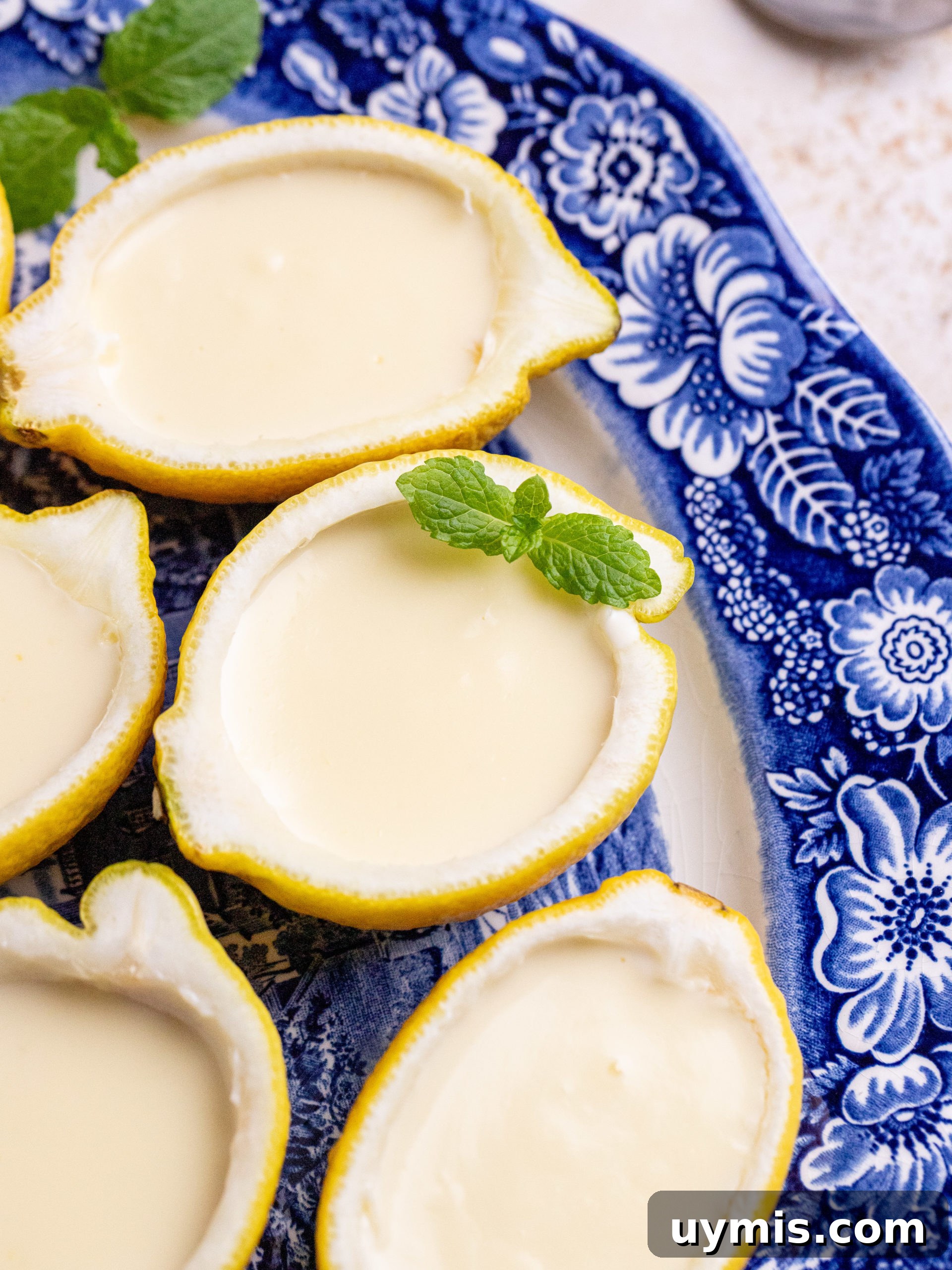 3-Ingredient Lemon Posset Recipe: Creamy No-Bake Dessert 6 img 19711 5