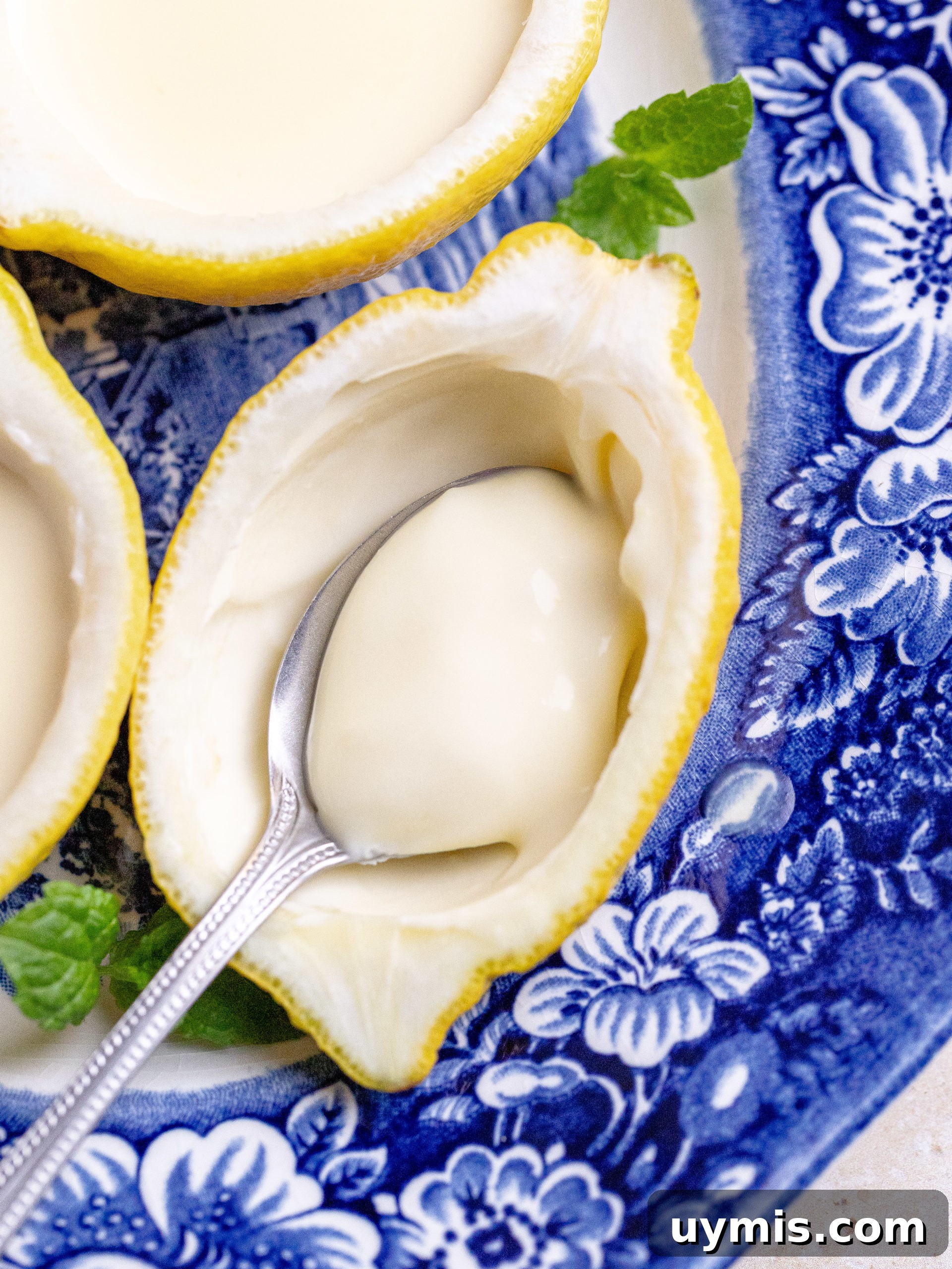 3-Ingredient Lemon Posset Recipe: Creamy No-Bake Dessert 7 img 19711 6