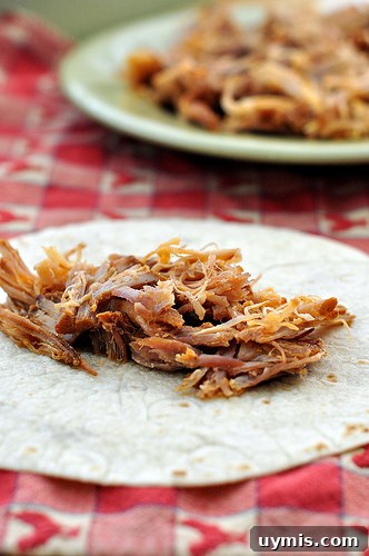 Slow Cooker Pulled Pork Sandwich Recipe 2 Pulled Pork
