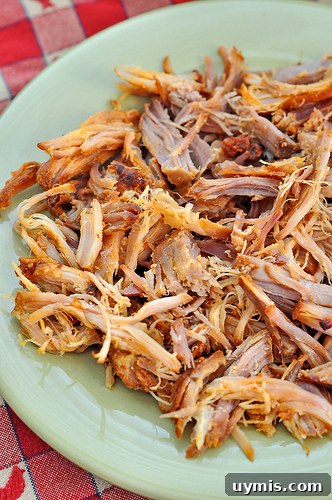 Slow Cooker Pulled Pork Sandwich Recipe 3 Pulled Pork