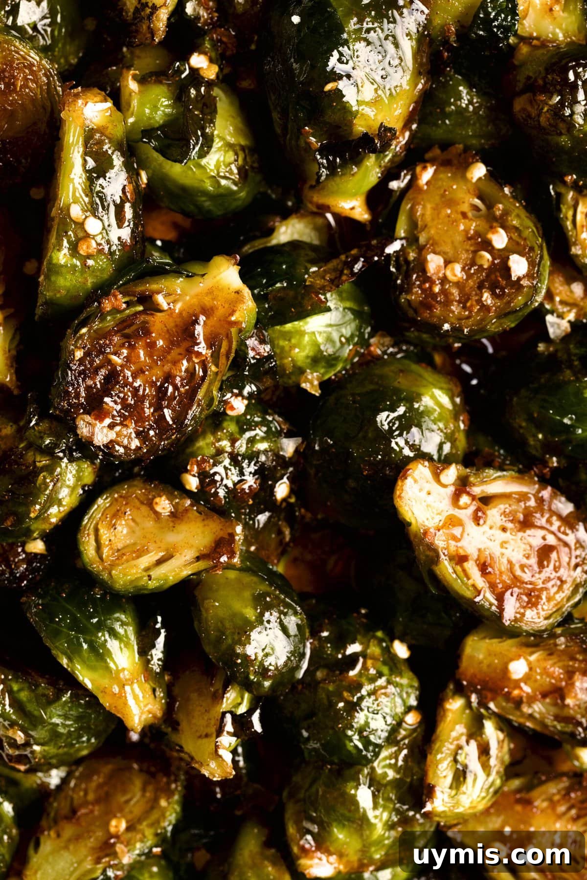 LongHorn Steakhouse Copycat Crispy Brussels Sprouts Recipe 11 up close photo of crispy Brussels sprouts with sauce.