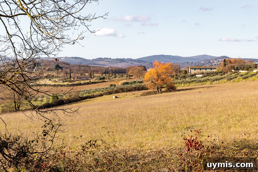 Winter in Tuscany Winter in Tuscany