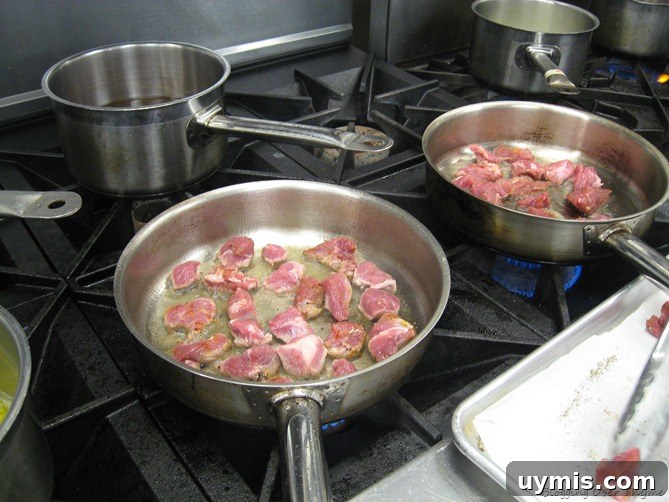 Day 20 Recipes: Pork Apicius, Spanakopita and Crème Anglaise 3 Pork Aspicus