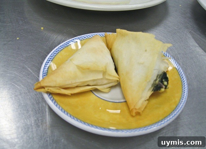 Day 20 Recipes: Pork Apicius, Spanakopita and Crème Anglaise 4 Homemade Spanakopita