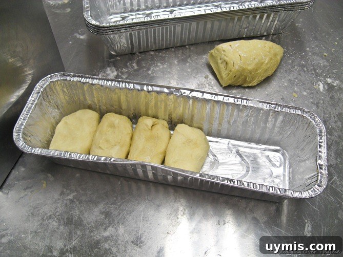 Day 20 Recipes: Pork Apicius, Spanakopita and Crème Anglaise 5 Homemade Brioche Bread