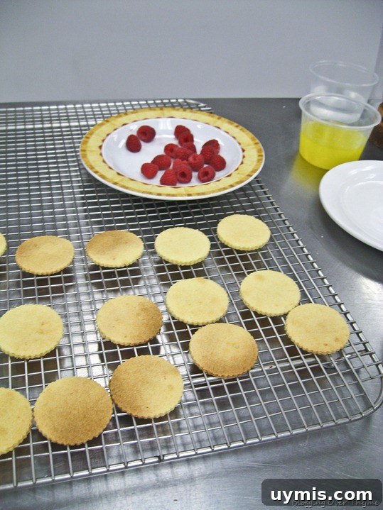 Day 20 Recipes: Pork Apicius, Spanakopita and Crème Anglaise 7 Shortbread Cookies