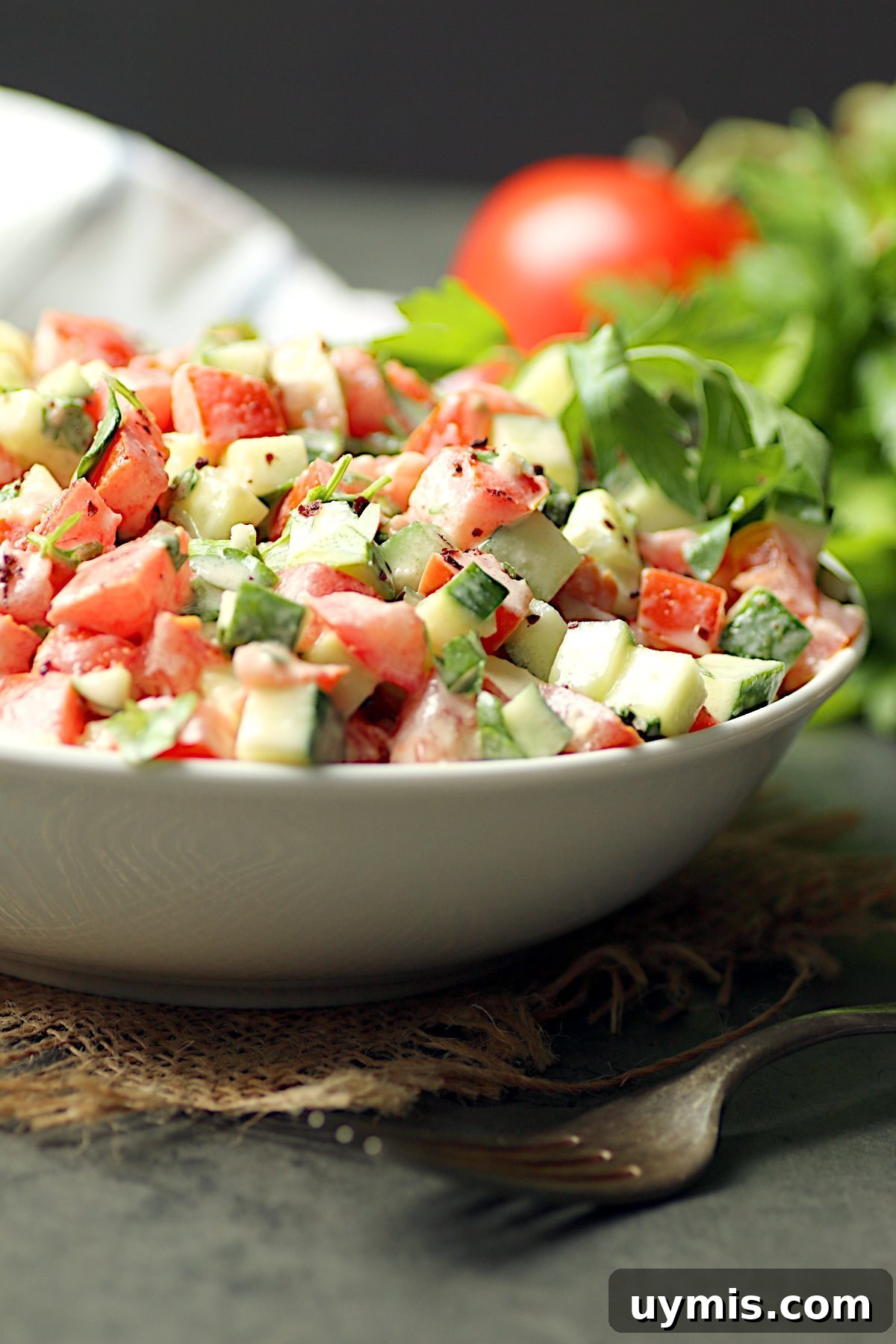 Sesame Steak Sauce Recipe Sawmill Copycat 6 Tomato and cucumber salad in a white bowl.
