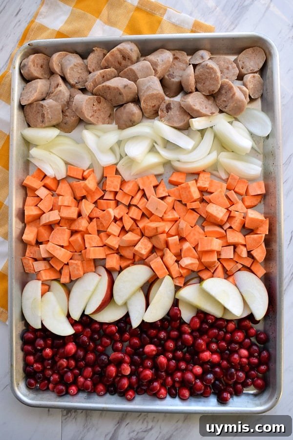 Sheet Pan Chicken Sausage with Cranberries 3 top view of colorful uncooked Sheet Pan Cranberry Chicken Sausage