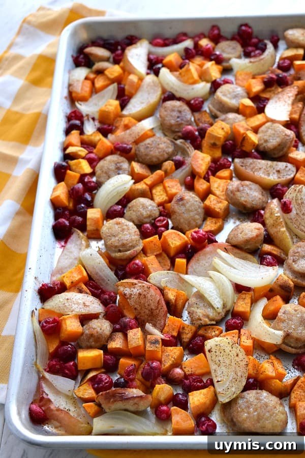 Sheet Pan Chicken Sausage with Cranberries 4 top view of tossed and cooked Close up of colorful uncooked Sheet Pan Cranberry Chicken Sausage
