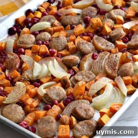 side view of cooked Close up of colorful uncooked Sheet Pan Cranberry Chicken Sausage