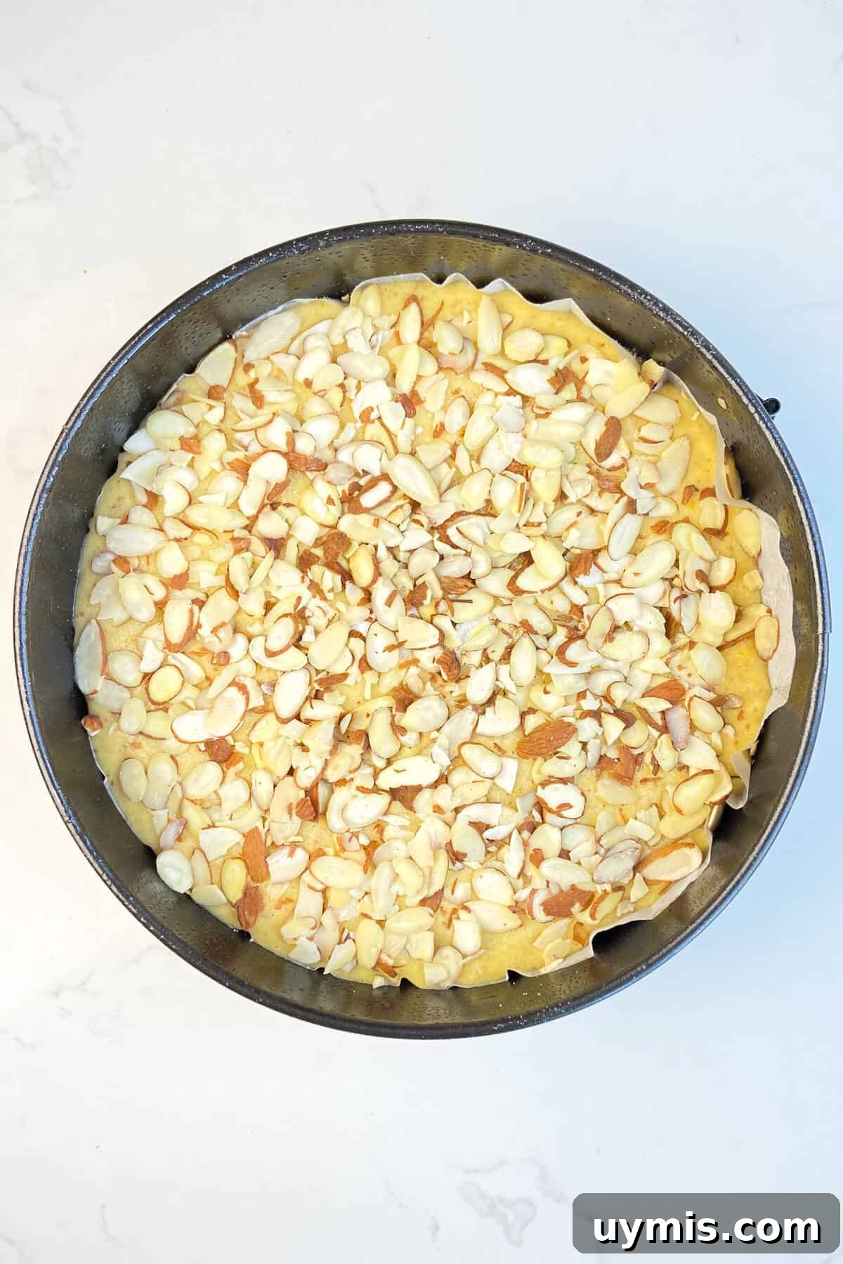 Italian Almond Cake Recipe with Tender Crumb 8 Sugar and almonds sprinkled on top of cake batter in pan.