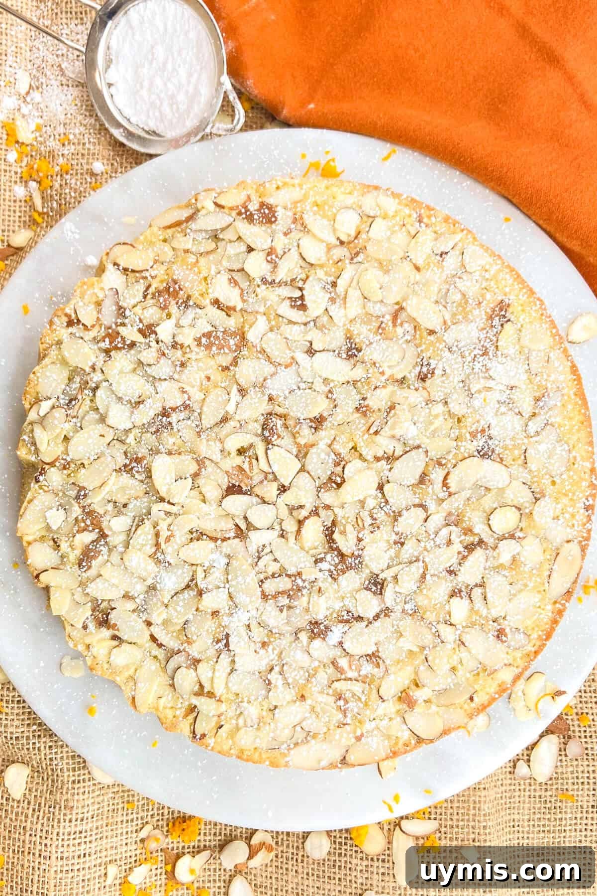 Italian Almond Cake Recipe with Tender Crumb 9 Finished cake with powdered sugar sprinkled on top.