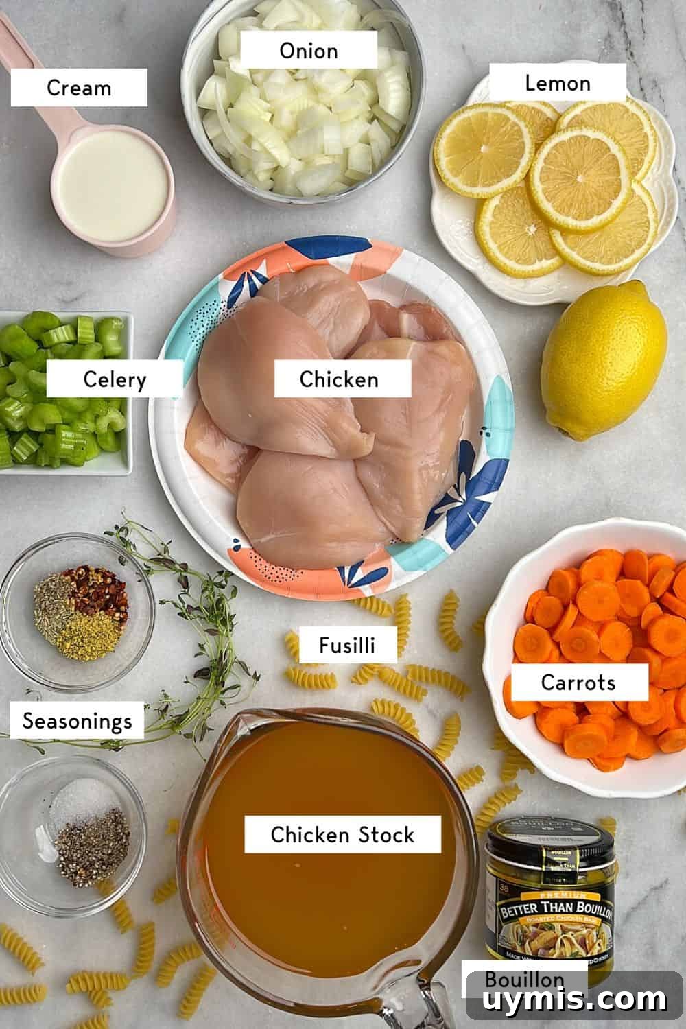 Ingredients for slow cooker creamy chicken noodle soup. Labeled ingredients for creamy chicken noodle soup recipe.