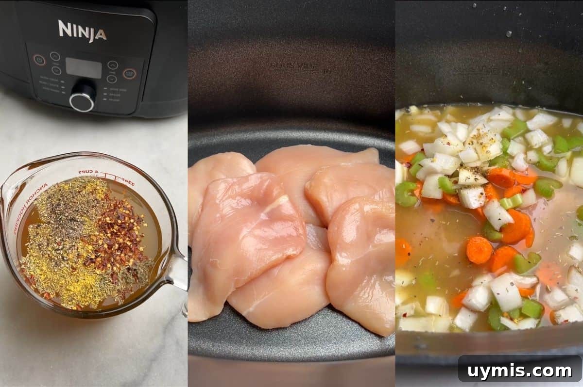 Adding chicken, vegetables, stock, and seasonings to a slow cooker. Step-by-step photos of how to load a crockpot with ingredients for chicken noodle soup.