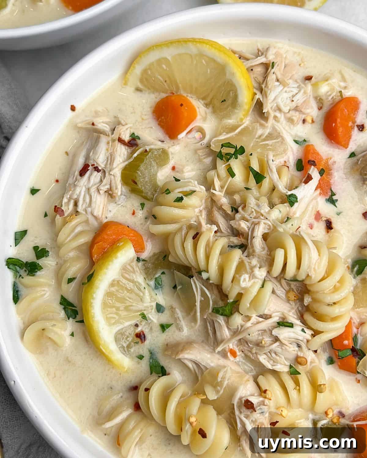 Close-up of creamy chicken noodle soup with noodles and vegetables. Close-up image of a bowl of creamy chicken noodle soup.
