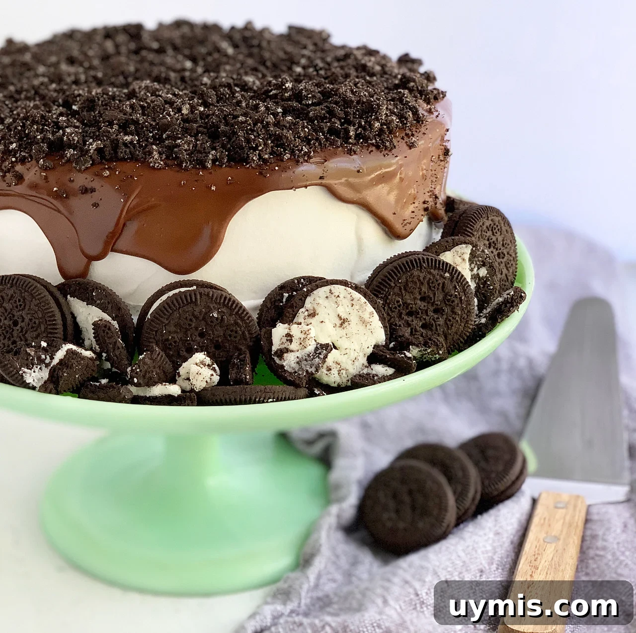 Oreo Ice Cream Cake Recipe 3 Oreo Ice Cream Cake slice