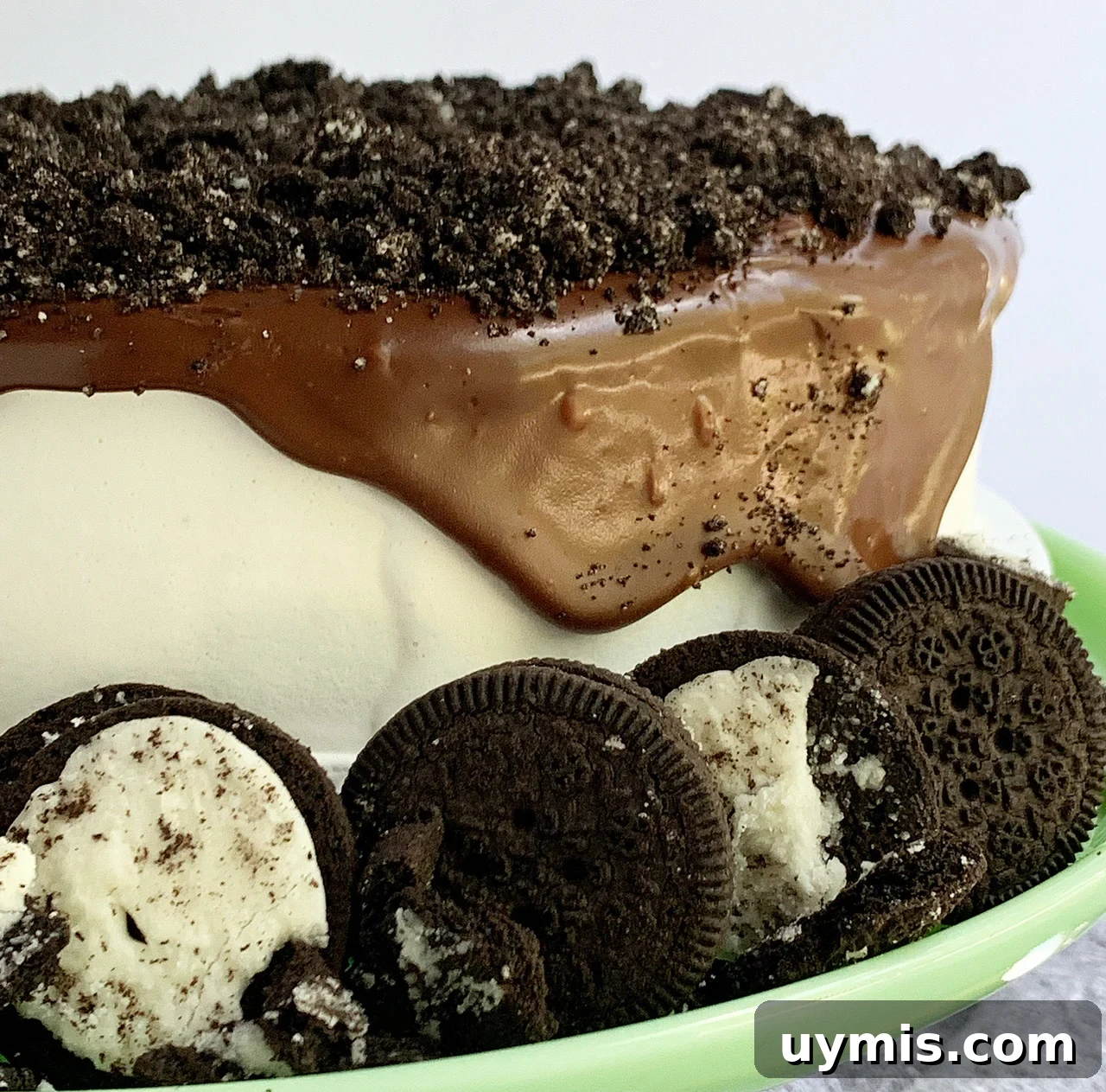 Oreo Ice Cream Cake Recipe 4 Ice cream cake on a plate
