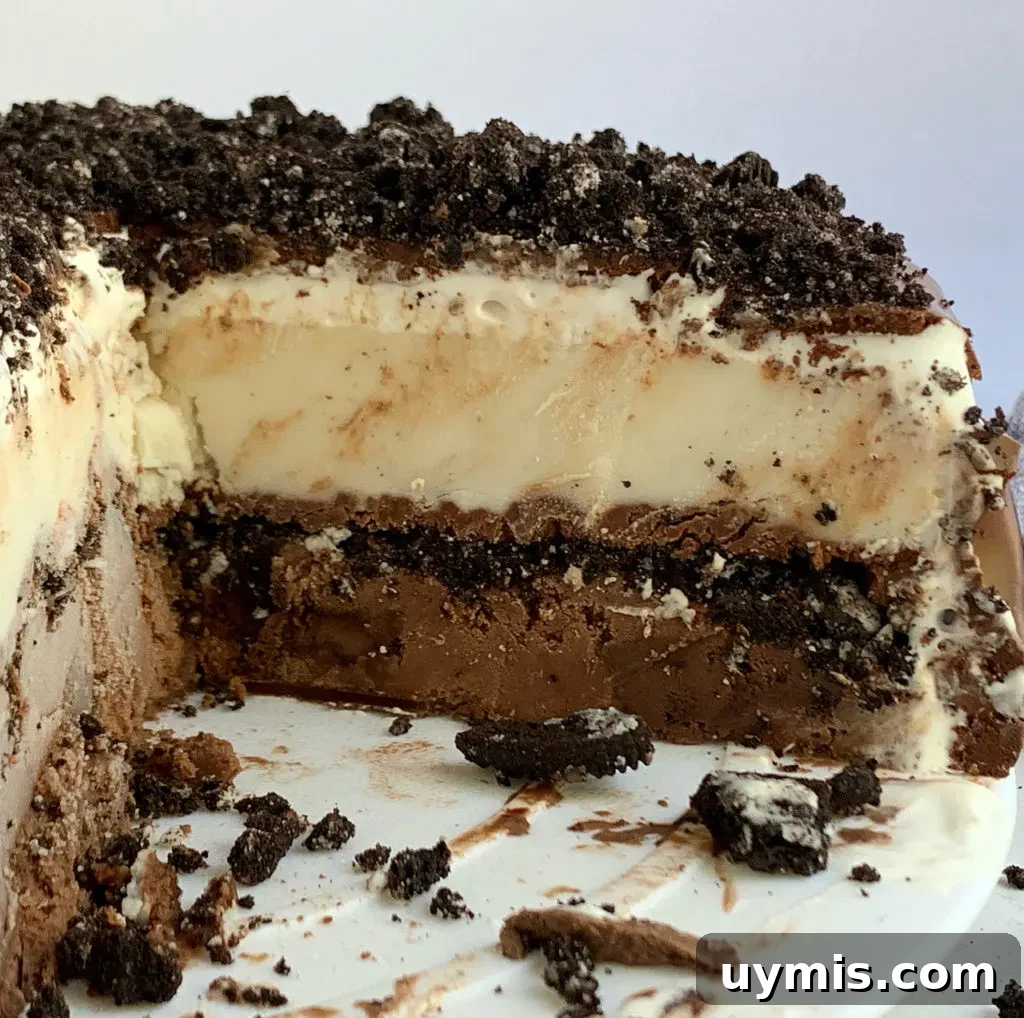 Oreo Ice Cream Cake Recipe 5 Close-up of cake layers