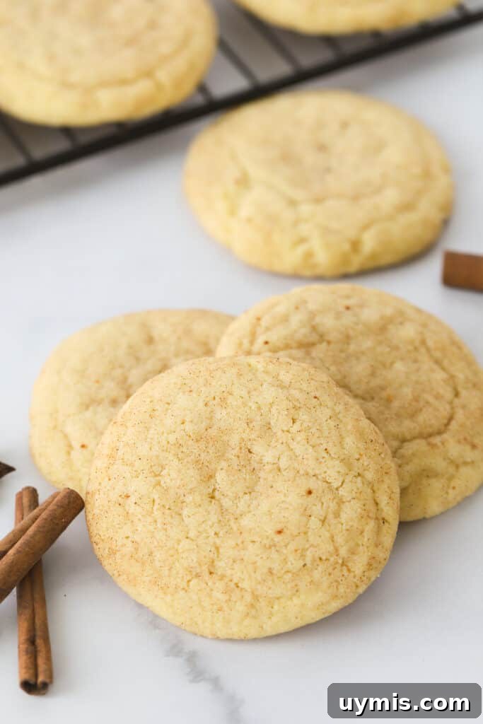 Fall Spice Snickerdoodle Cookies with Cinnamon Sugar 2 A pile of Pumpkin Snickerdoodle cookies on a countertop.