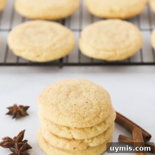 Fall Spice Snickerdoodle Cookies with Cinnamon Sugar 7 img 21448 10