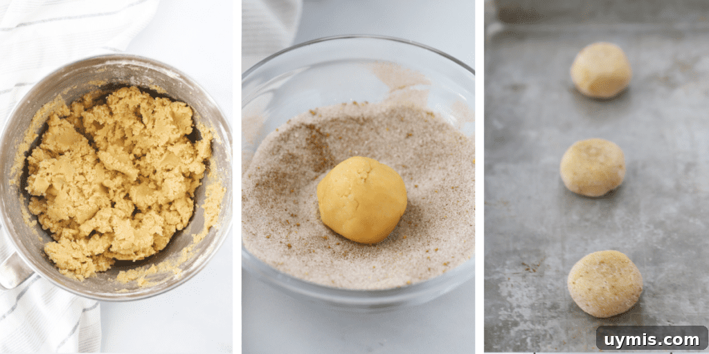 Fall Spice Snickerdoodle Cookies with Cinnamon Sugar 3 Three photos showing a bowl of cookie dough, a cookie dough ball in pumpkin spice sugar and cookie dough balls on a baking sheet.