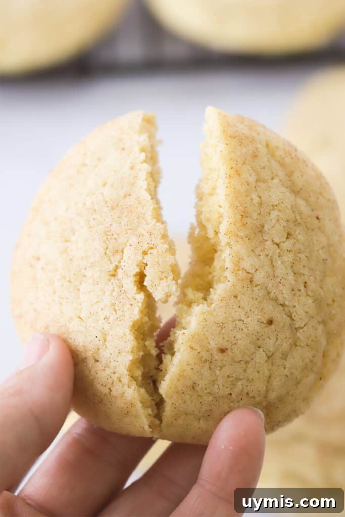 Fall Spice Snickerdoodle Cookies with Cinnamon Sugar 4 A hand holding a snickerdoodle cookie.