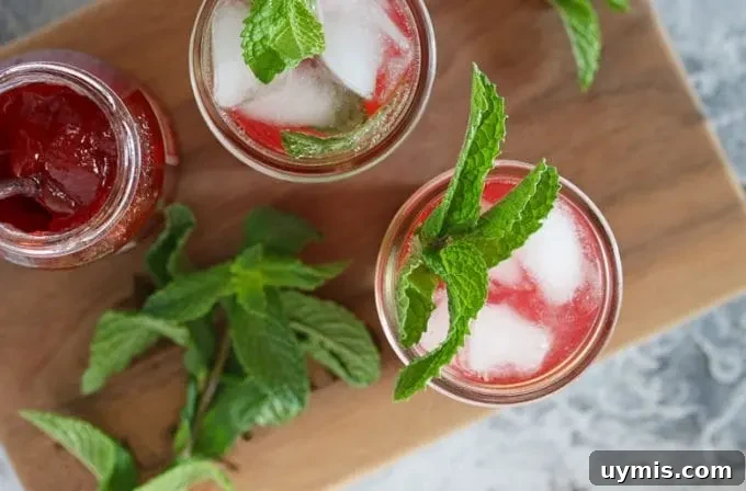 Strawberry Jam Cocktail with Fresh Mint 7 overhead photo of 2 mint strawberry jam cocktails