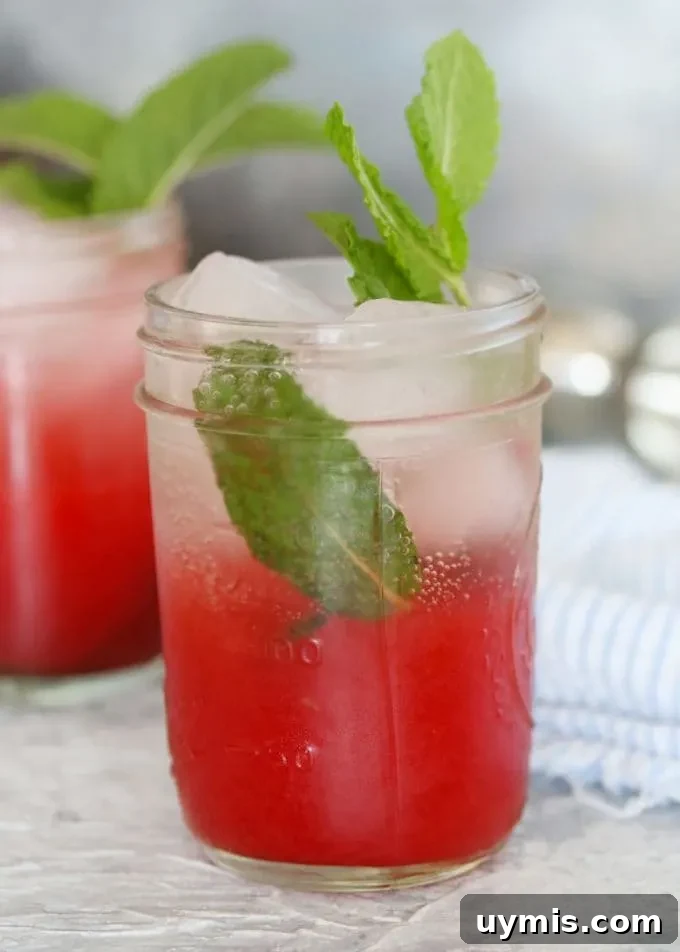 Strawberry Jam Cocktail with Fresh Mint 4 one mint strawberry jam cocktail
