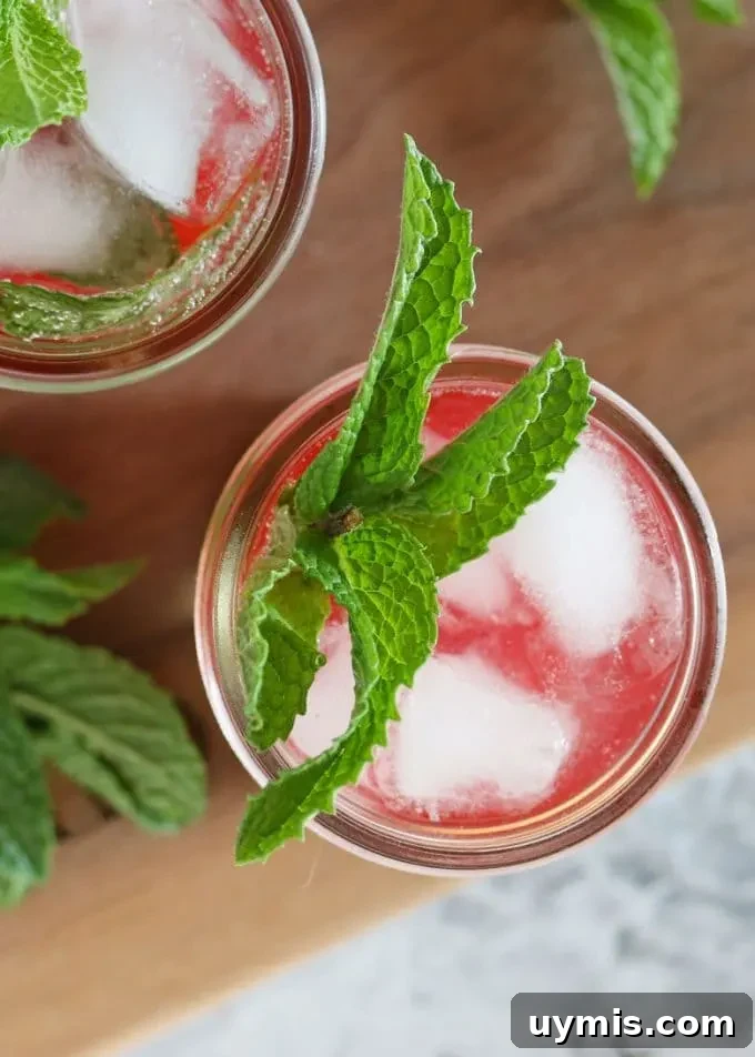 Strawberry Jam Cocktail with Fresh Mint 5 mint strawberry jam cocktail overhead photo