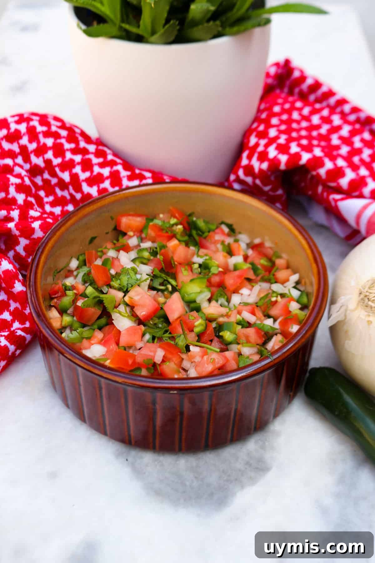 Fresh Salsa Bandera: Authentic Pico de Gallo Recipe 2 Bowl of salsa bandera with a plant and red cloth in the background