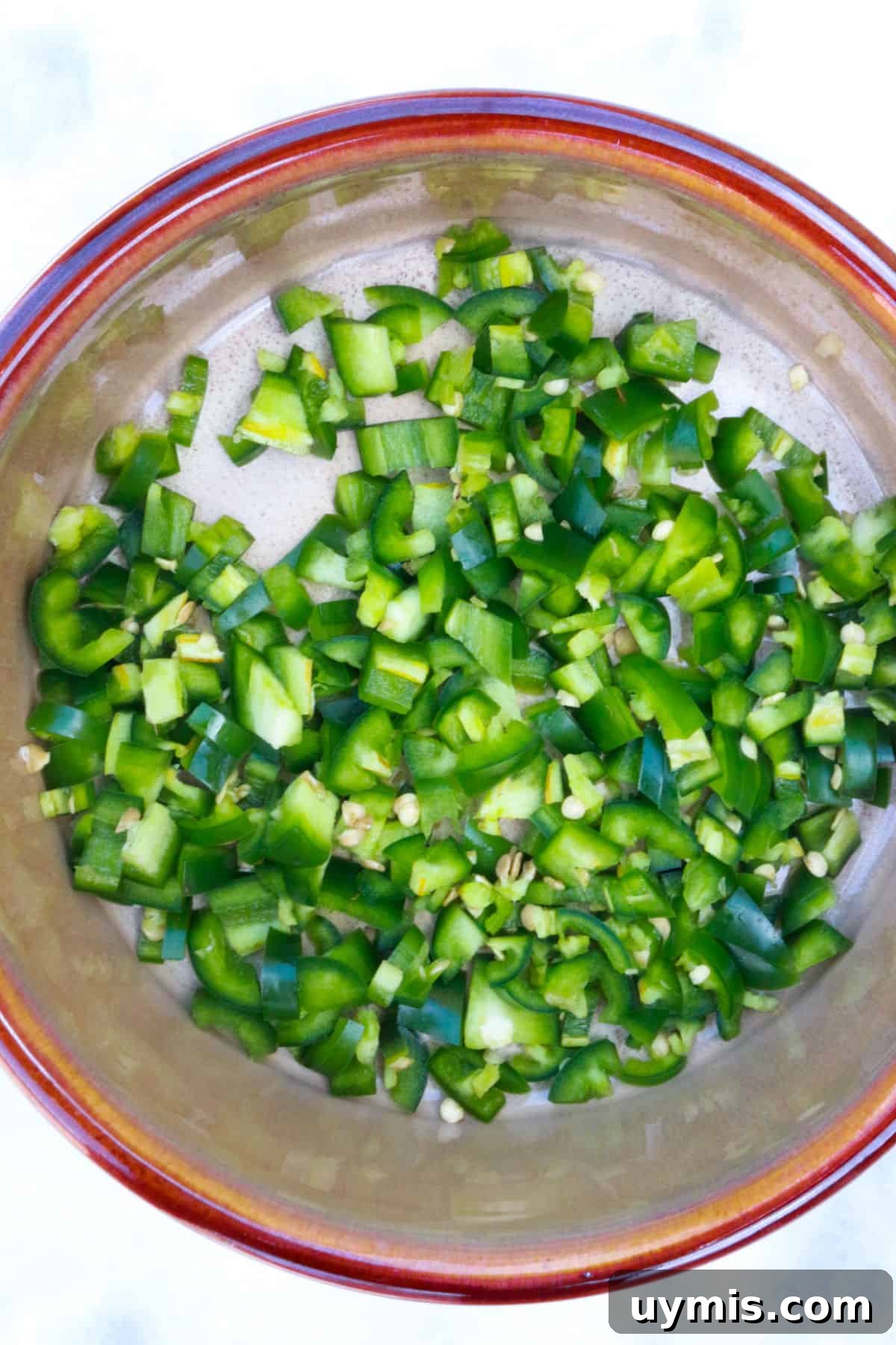 Fresh Salsa Bandera: Authentic Pico de Gallo Recipe 4 img 219 3