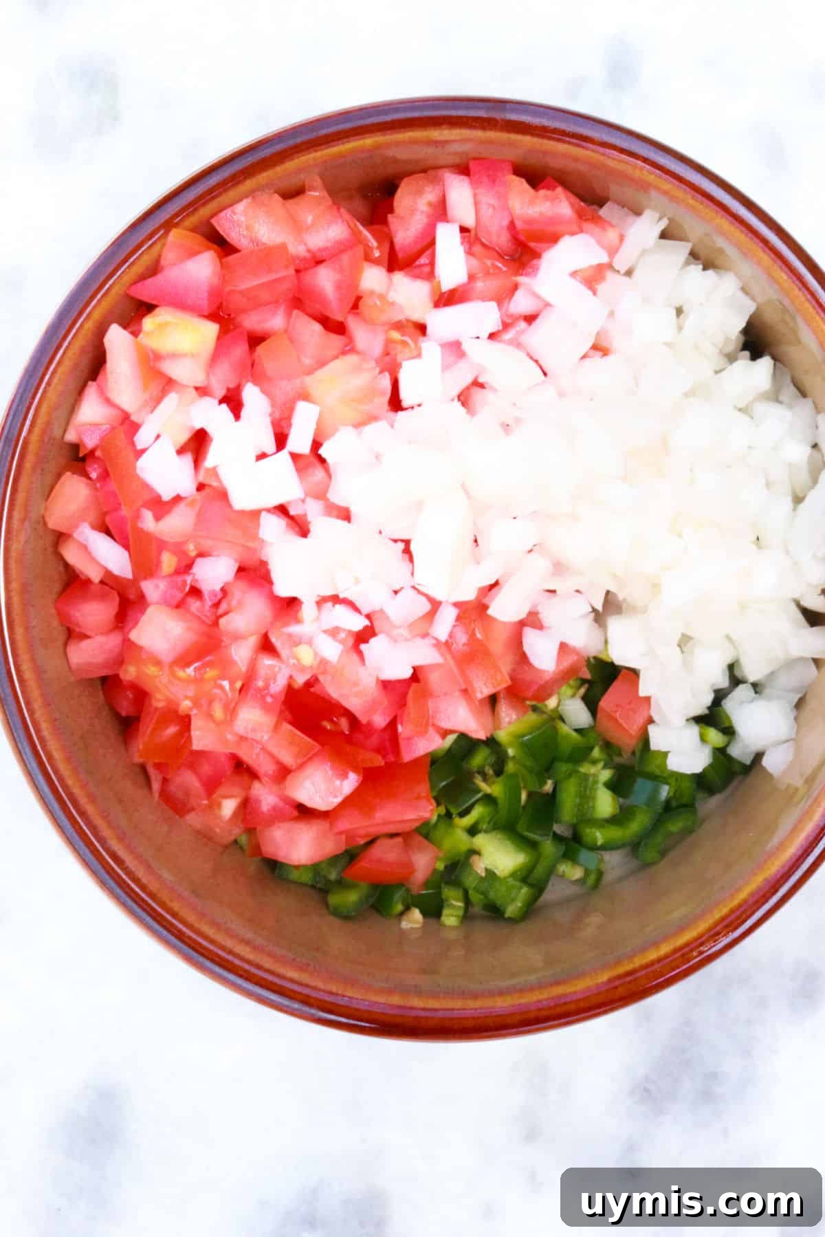 Fresh Salsa Bandera: Authentic Pico de Gallo Recipe 6 diced tomatoes, onion and jalapeño in a bowl