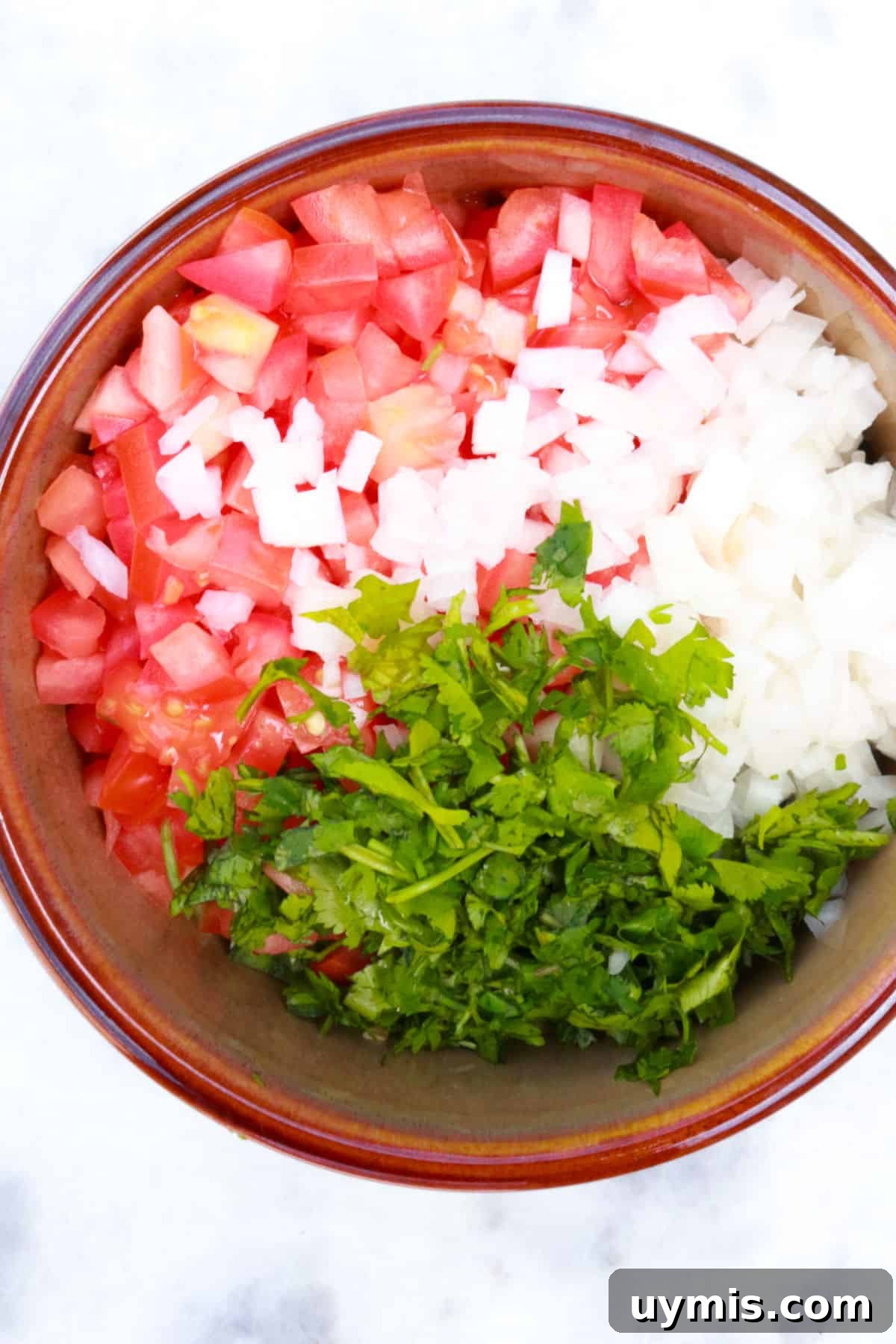 Fresh Salsa Bandera: Authentic Pico de Gallo Recipe 7 diced tomato, onion and cilantro in a bowl
