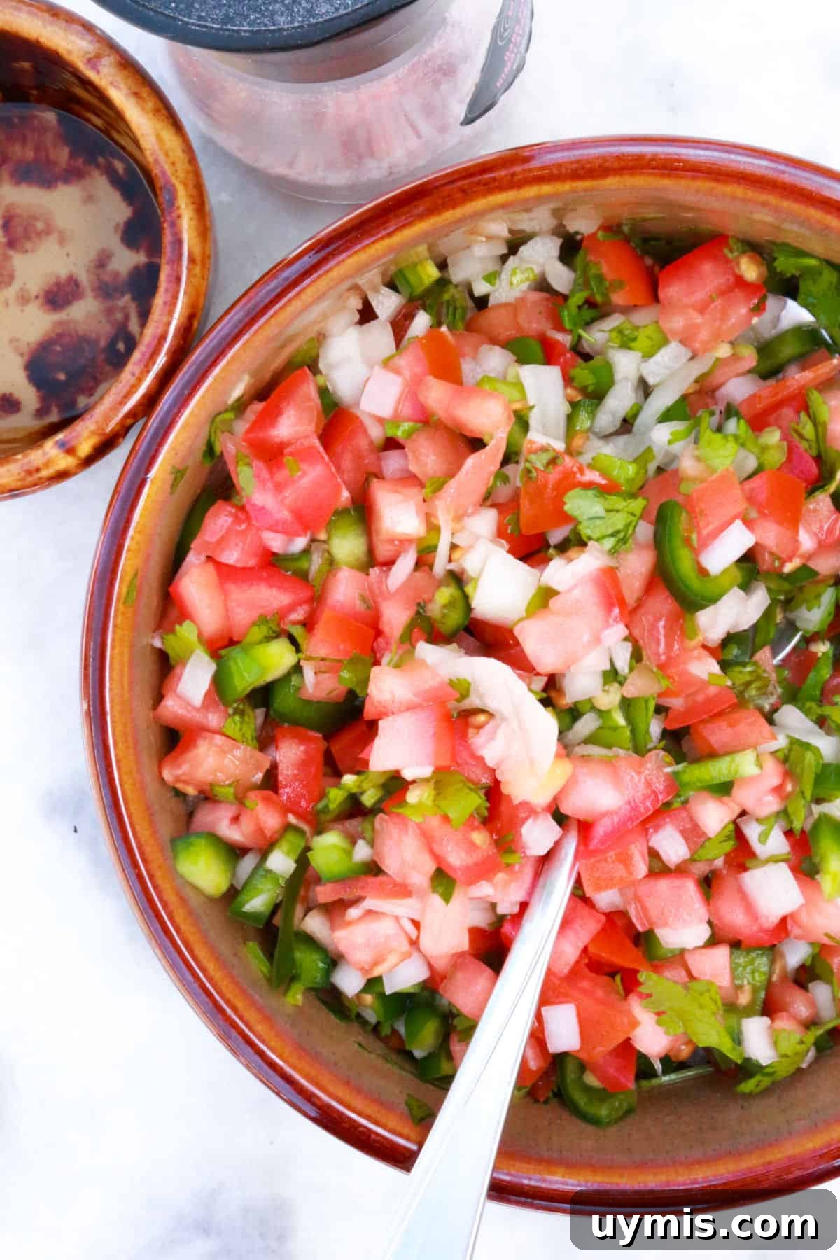 Fresh Salsa Bandera: Authentic Pico de Gallo Recipe 8 Bowl of Pico De Gallo with salt and a bowl of white vinegar behind it